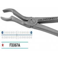 Adult Extraction Forcep, FXX67A